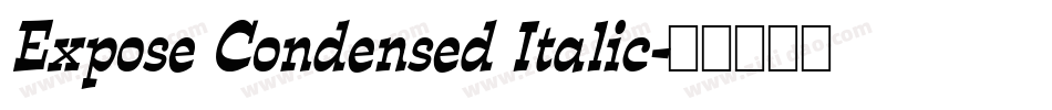 Expose Condensed Italic字体转换